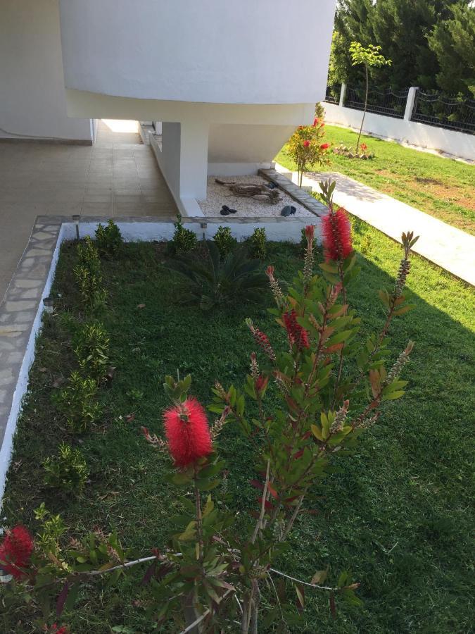 Simplicity At Iris Accommodation Psakoudia Esterno foto